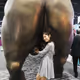 Run Bull Runnnn! - old