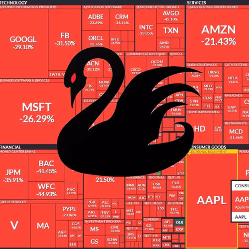 S&P Black Swans