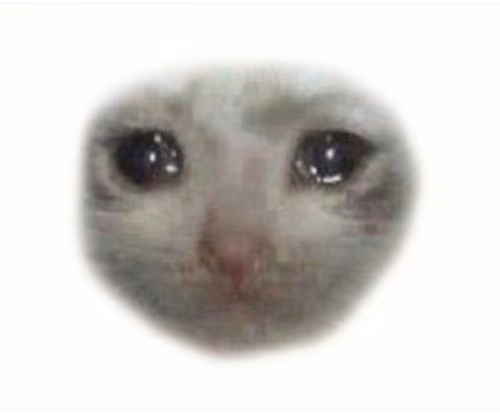 Sad catz