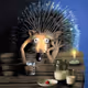 Sad hedgehog