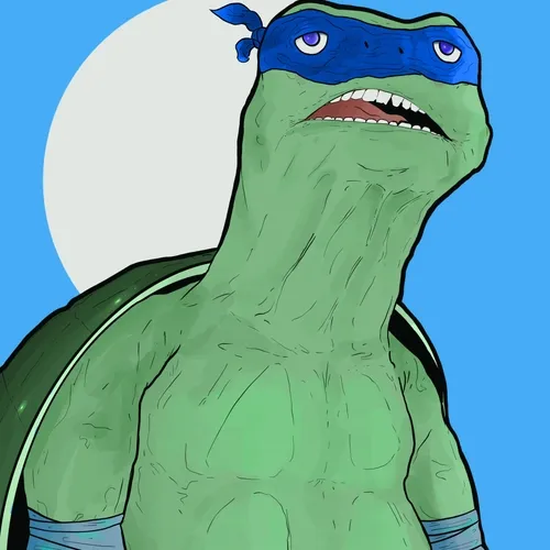 Sad Ninja Turtle #2