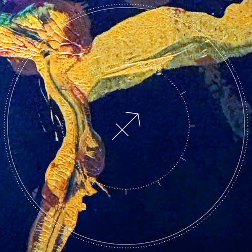 Sagittarius