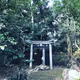 SAHARA jp