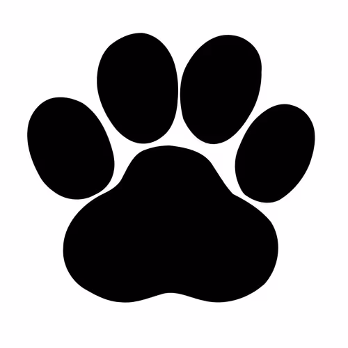 Wild Animal Collection - World