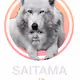 saitama token-