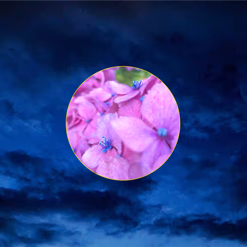 Sakura moon - old