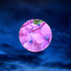 Sakura moon - old