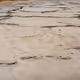 Salt Flats