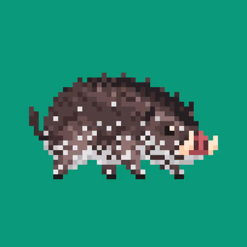 SaltPig