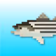 Saltwater-Fish