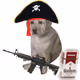 Salty Dog