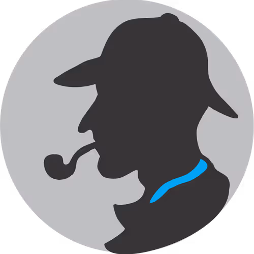 Fictional detective