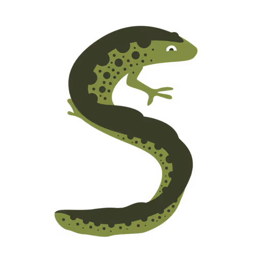 Sam's UK Garden Wildlife Shots