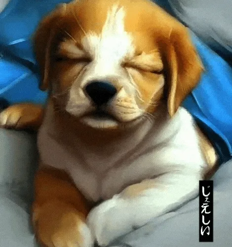 Sandman's Puppy Portraits