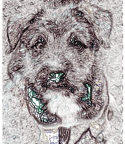 Santy