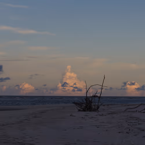 Sapelo Island Photographs