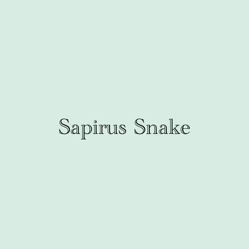 SAPIRUS SNAKE