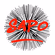 Sapo