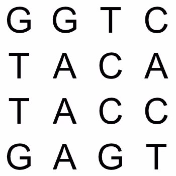 SARS CoV 2 Coding DNA Sequences