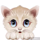 Sassykitty - old
