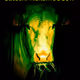 Satoshi NakaMooCow