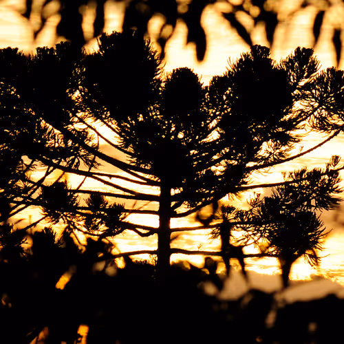 Sunset Lights by Saudujas