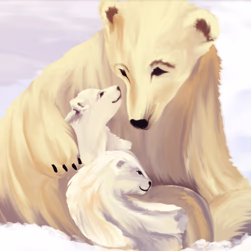 Beauty of the Polar Bears