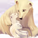 Beauty of the Polar Bears