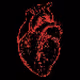 Saved hearts
