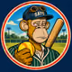 SAYC Softball League