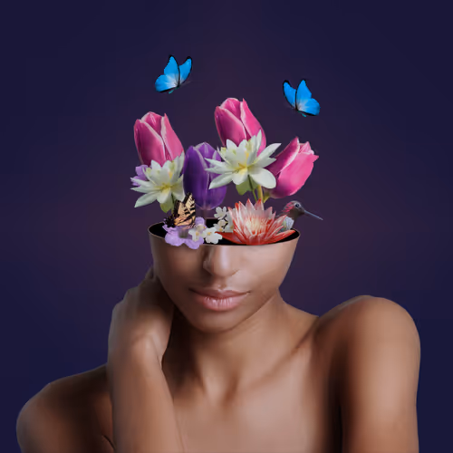 SB Collection by Woody