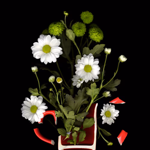 Scanography-foto
