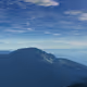 Scapes Collection