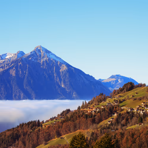 scenery by Alqadrian