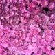 scenery of the seasons