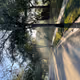 Scenic View Volusia