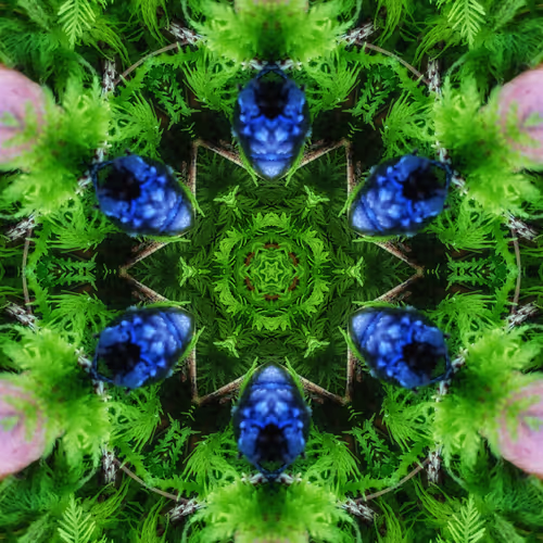 Is nature science fiction?