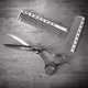 Scissor Action
