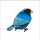 scottie_g. birds