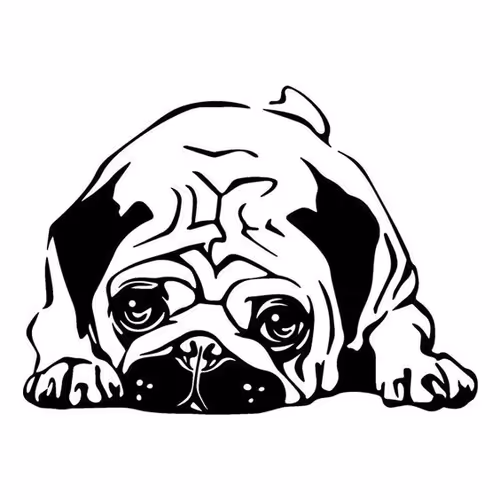 Screen Printing Pictures+Pencil Drawings