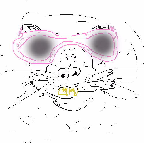 Scribble Rat King Collection