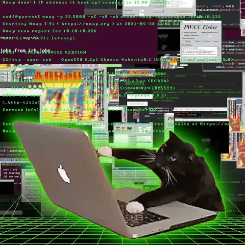 script kitty