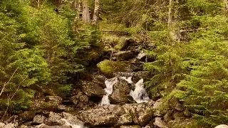 Sculptures Musicales - old