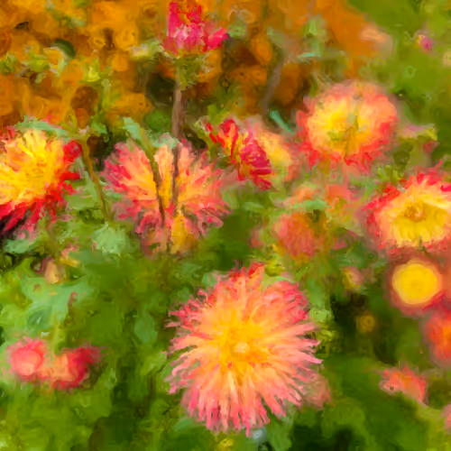 SE Art - Flowers
