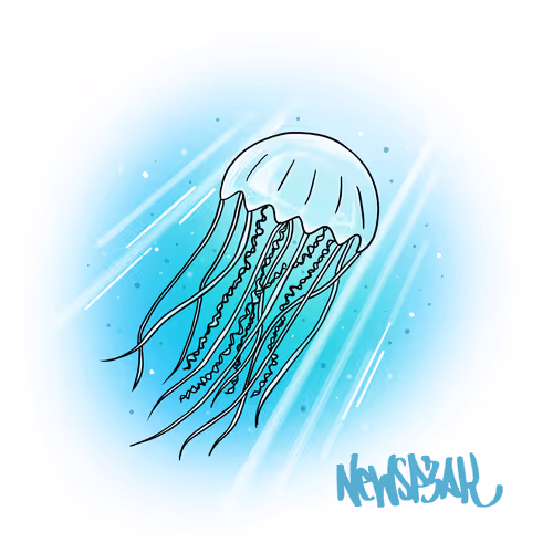 Sea Creatures Collection