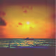 Sea How I See