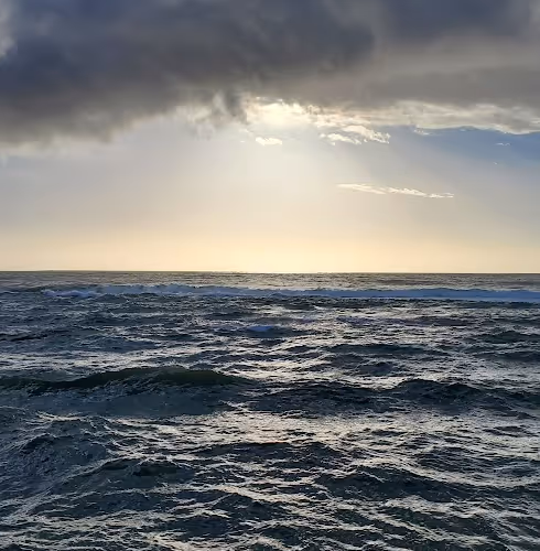 Sea, Land, Air and Serenity