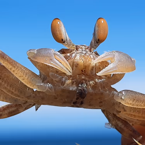 Sea photograph collection