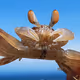 Sea photograph collection