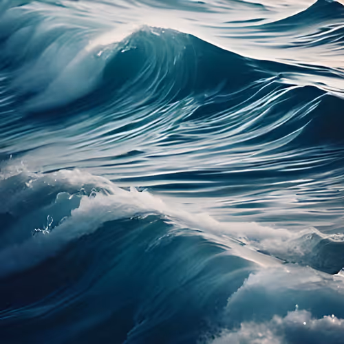 Sea Universal